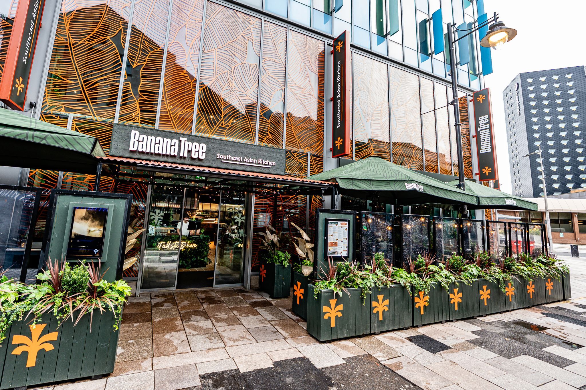 Banana Tree Cardiff